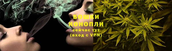 2c-b Новозыбков