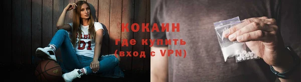 PSILOCYBIN Беслан