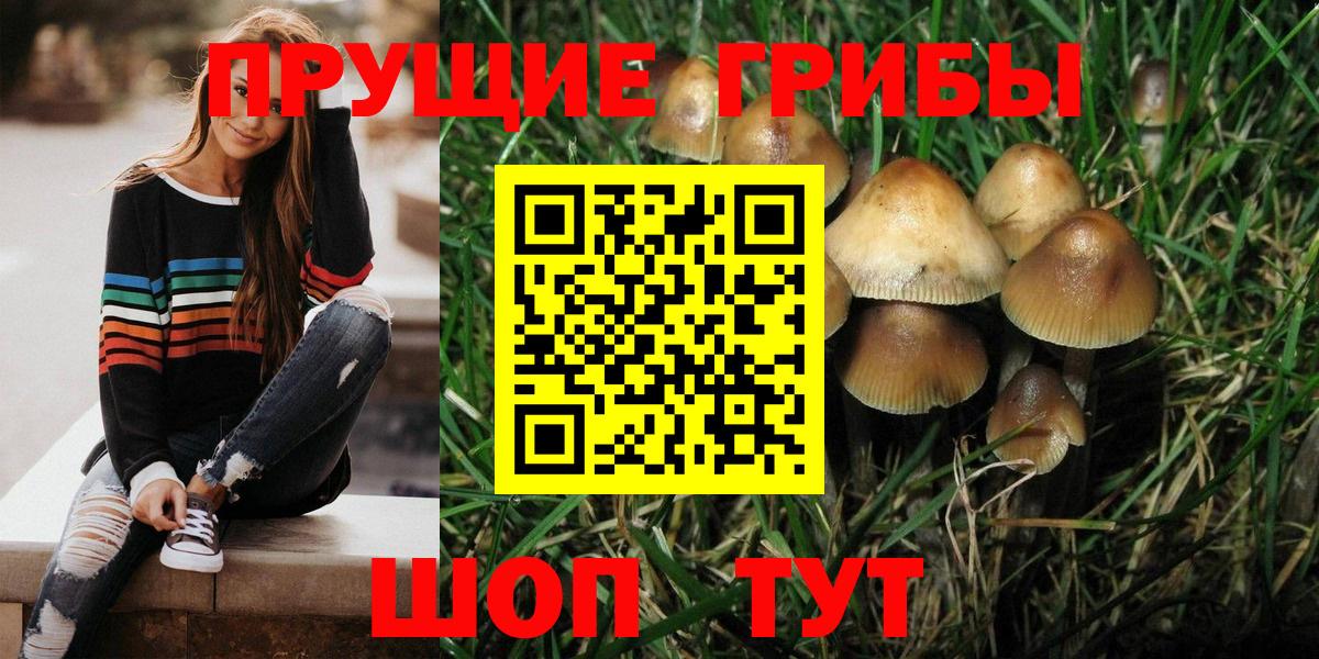 где продают наркотики  Скопин  Псилоцибиновые грибы Psilocybine cubensis  Галлюциногенные грибы Magic Shrooms 