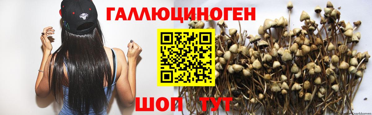 Псилоцибиновые грибы мицелий  Вход с VPN  Псилоцибиновые грибы Magic Shrooms  Скопин 