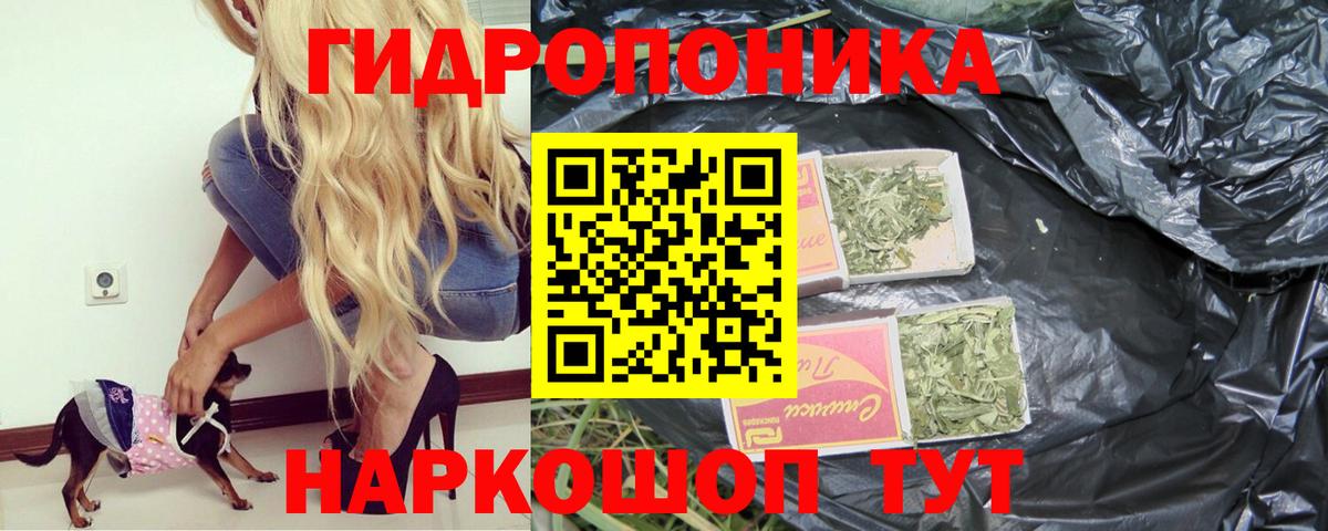 Конопля AK-47 Скопин